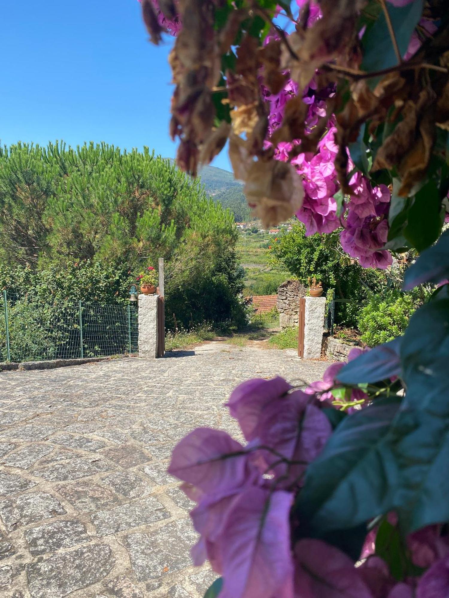Villa De Fujacos فالينسا المظهر الخارجي الصورة